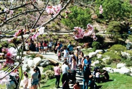 Japanese Friendship Garden