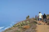 Torrey Pines State Natural Reserve